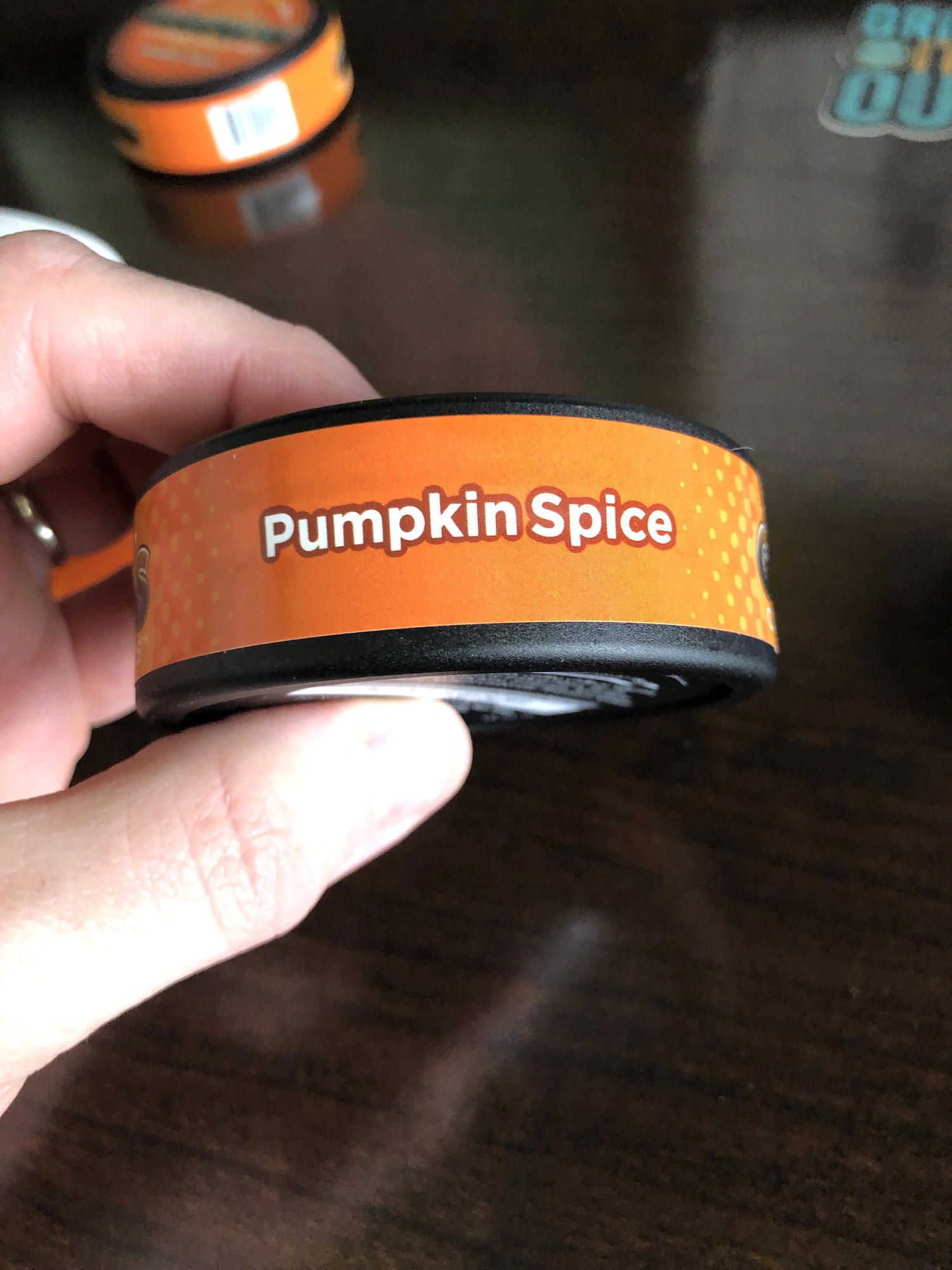 Grinds Coffee Pouches Pumpkin Spice Review