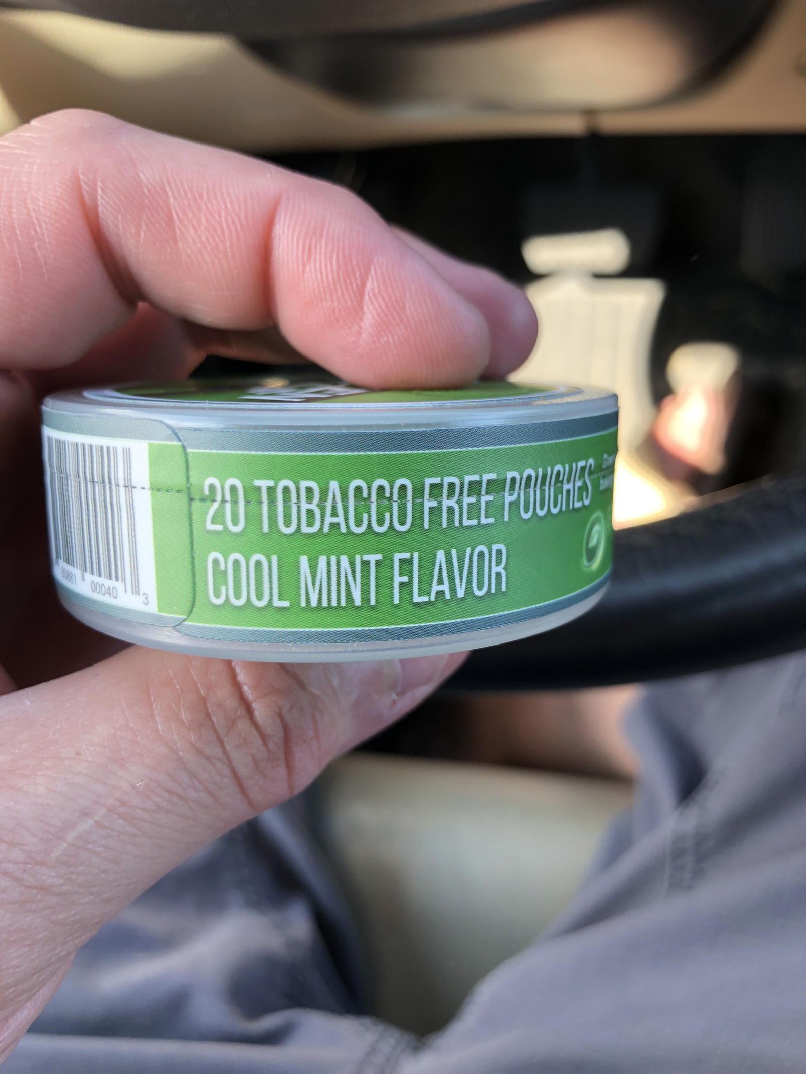 Green Leaf Organic Mint Pouches Review