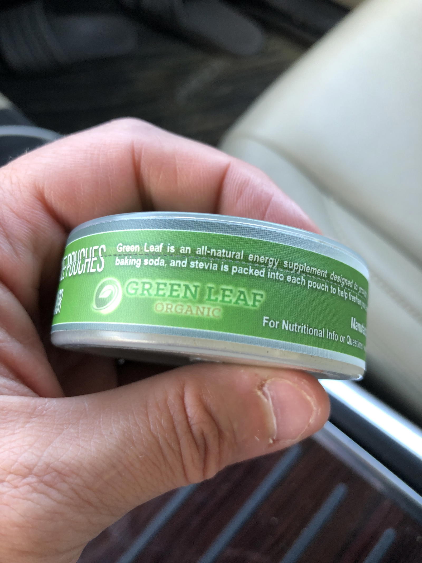 Green Leaf Organic Mint Pouches Review