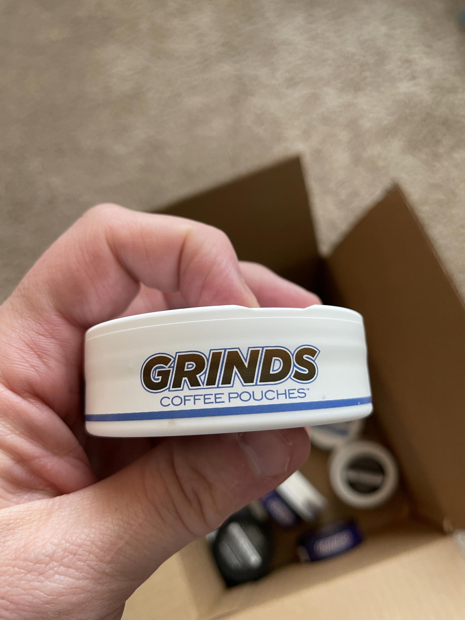 Grinds Coffee Pouches Spearmint Review